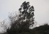 La borrasca ‘Félix’ pone este domingo en riesgo a toda Castilla-La Mancha por viento