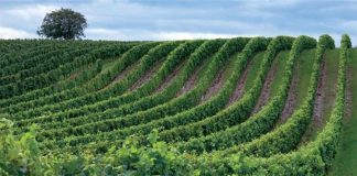 Entra en vigor el cambio en las subvenciones a pagos compensatorios por zonas agrícolas de la Red Natura