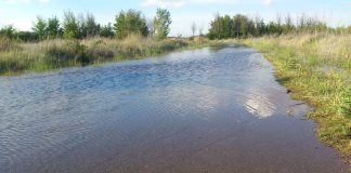 El año hidrológico 2017 terminó un15% menos de lluvias y las abundantes precipitaciones de 2018 no acaban con la sequía